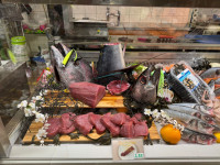 Frischer Thunfisch direkt aus dem Indischen Ozean