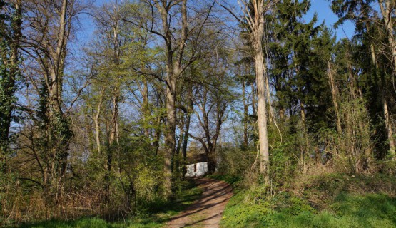 Weg zur Kahlenbergkaplle