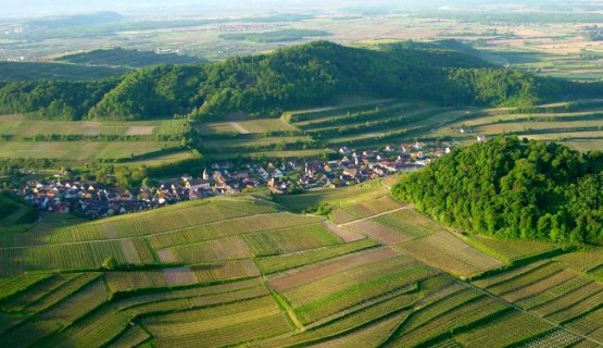Vogtsburg - das Herz des Kaiserstuhls