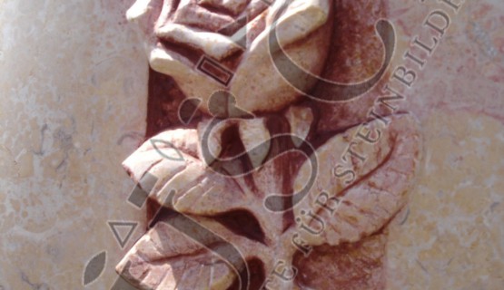 Ornamente