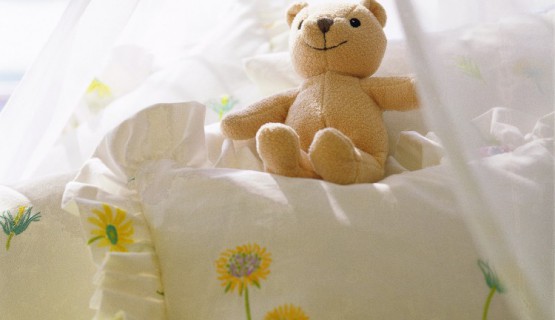 babyzi det baer quer