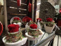 Valentinstag - sch&ouml;ne Geschenkideen jetzt bei Blumen Kiesel