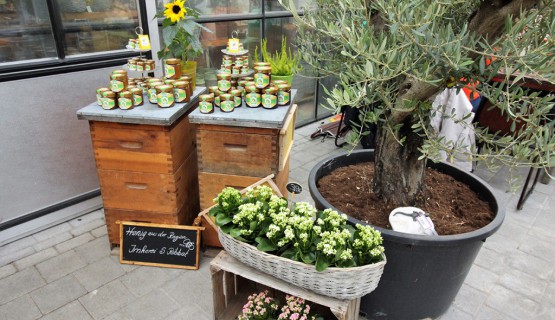 Gastrobereich - S&acute;Blumenh&auml;fele