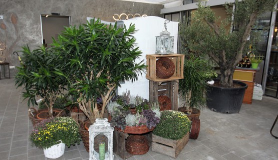 Gastrobereich - S&acute;Blumenh&auml;fele