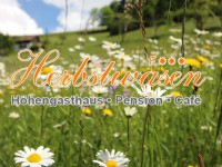 Herbstwasen aus der Vogelperspektive