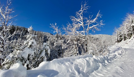 Winter Impressionen