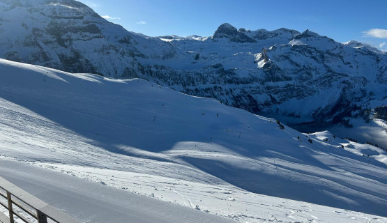 Ski Tagesausflug 2024/25