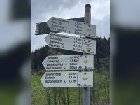 Frischer Wind im Schwarzwaldverein