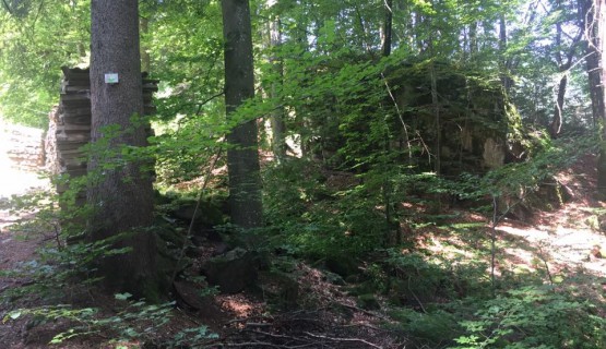Wiesensteig