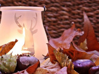 Herbst-Zauber mit den f&uuml;nf Elementen