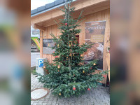 Weihnachtsbaum &aacute; la Findus und Pettersson