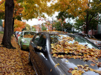 Herbstvibes an der Zapfs&auml;ule: Wie Sie bei G&uuml;nther in Lahr im Herbst zum Sparfuchs werden