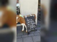 Frische Bio-Rohmilch im Naturalia