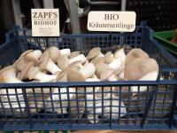 Neu bei uns: Regio Kr&auml;uterseitlinge