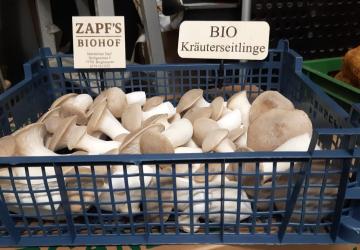 Neu bei uns: Regio Kr&auml;uterseitlinge